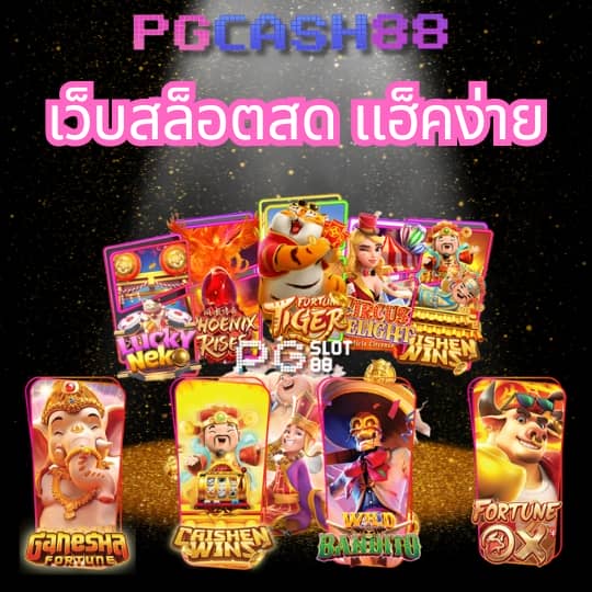 pg piggyทางเข้า