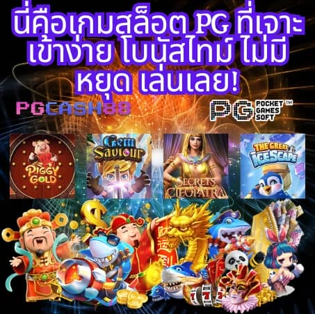 pg piggyทางเข้า
